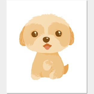 Cute Maltipoo Posters and Art